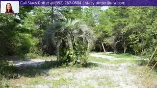31400  Orange St, Eustis, FL 32736 - MLS #G5002848
