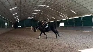 HORSE TRACK WORK EDA ÖZRODOP MODERN PENTATLON NATIONAL TEAM ATHLETE
