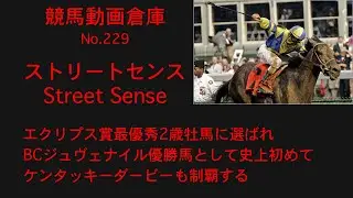 【競馬】ストリートセンス　Street Sense【No 229】