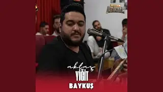 Baykuş