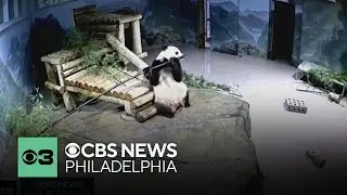 National museums, zoo begin to reopen after government shutdown