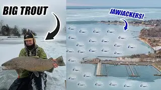 I Covered The ENTIRE Harbor with JawJackers! (Ice Fishing Brown Trout)