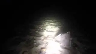Flyvefisken - Journey of a flounder