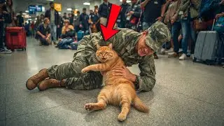 Soldier Returns After 3 Years... His Cat&rsquo;s Reaction at the Airport Broke Everyone