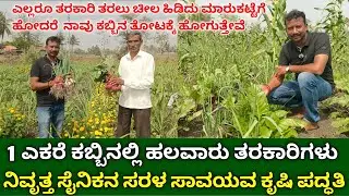 1 ಎಕರೆ ಕಬ್ಬಿನಲ್ಲಿ ಹಲವಾರು ತರಕಾರಿಗಳು | organic vegetable farming kannada | intercropping in sugarcane