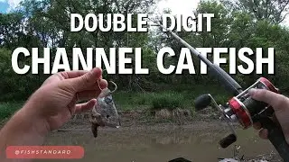 Kayak Catfishing a Shallow River | Big Channel Catfish Back-to-Back
