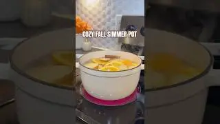 COZY FALL SIMMER POT RECIPE | HOW TO MAKE YOUR HOME SMELL COZY FOR FALL