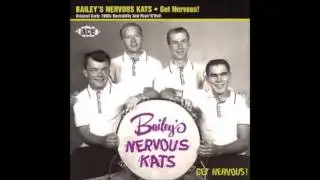 Bailey's Nervous Kats - Rockin' Music