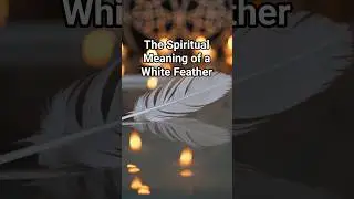 The Spiritual Meaning of a White Feather