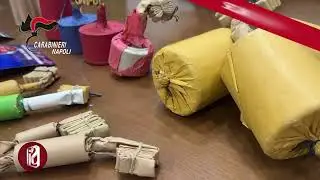 NAPOLI E PROVINCIA, BOTTI ILLEGALI. MAXI SEQUESTRO DI COBRA, 3 PERSONE IN MANETTE
