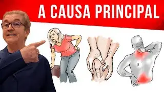 As Top 7 Principais Causas de Inflamação: E Como Tratá-las Naturalmente