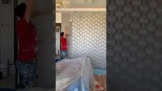Stylish Wall Painting Process Using A Roller To Apply Silver Paint Over Patterned Design