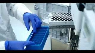 Unlock Your Pharmacy Career with Pharmacademy!   VEED   Online Video Editor