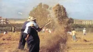 Cançó de Batre