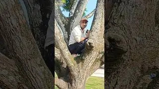 फाइनेंस वाले 😆 #shorts #trending #funny #youtubefeed #loan #finance  #youtubeshorts #comedy #bihar