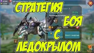 Стратегия боя с Ледокрылом 