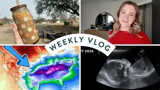 20 Week Anatomy Scan, Pregnancy Insomnia, + Snowstorm Prep | Weekly Vlog