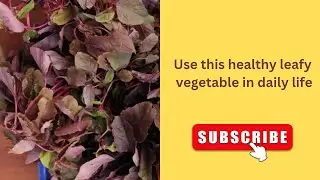 Healthy and quick South style#food #cooking #recipe 