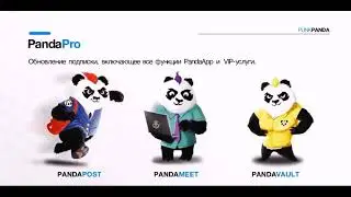 #друзьямировесникам Punk Panda Messenger 4 января