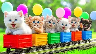 ANAK KUCING MEONG MEONG | Lagu Anak Anak | Lagu Anak Indonesia Populer Si Meong Kucing Lucu