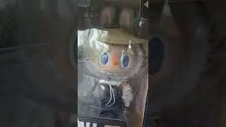 I got another Labubu to add to my collection.