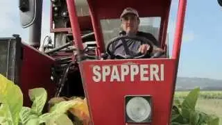 Spapperi S.r.l. - Raccoglitrice Tabacco RA 341 / Tobacco Harvester RA 341