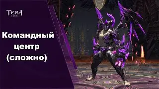 Командный Центр (сложно) гайд / Draakon Arena (hard) guide, Tera Online