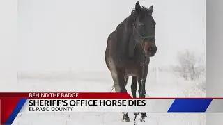 Sheriff's office announces passing of Mounted Unit horse