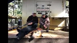 Florida Swamp Buggy Hog Hunt 15 Jan 2018