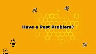 Busy Bee Pest Solutions | Phoenix&rsquo;s Eco-Friendly Pest Control Experts