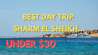 Najlepsza jednodniowa wycieczka ze snorkelingiem w Sharm El Sheikh w Egipcie