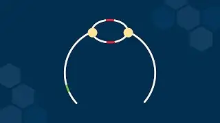 Origin of Replication Sites