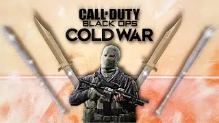 Call of Duty Cold War Best Melee Plays!