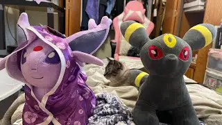 Espeon Build a Bear Unboxing (featuring Umbreon)