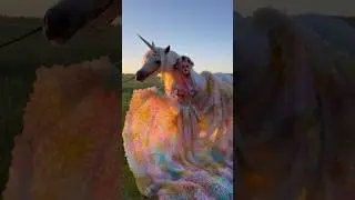 Barbie and Unicorn #barbie