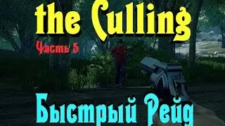 The Culling - Рейд атака
