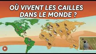 OU VIVENT LES CAILLES DANS LE MONDE