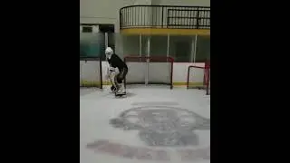 Mitch Gibson of Harvard University and Washington Capitals Draft Pick working on his flipper saves!