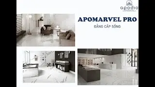 Apodio Marvel Pro Gạch Khổ Lớn 