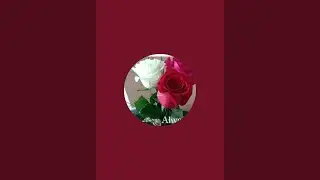 sayed channel  is live