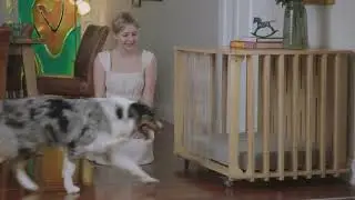 No more wire crates or pens!