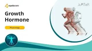 Growth Hormone | Physiology Lecture On Endocrinology for Medical Students | V-Learning&trade;