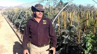 Australian Outback Plantation Welcome
