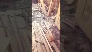 В БОЛОТЕ ТОНЕТ #рекомендации #woodworking #wood #remix #дагестан