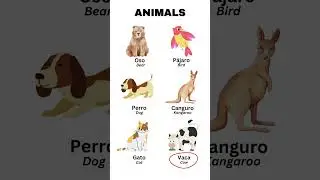 Learn Spanish Vocab with Pictures