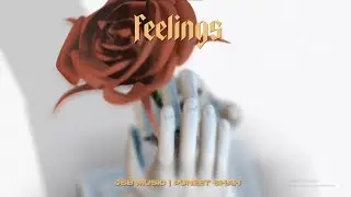 FEELINGS - JSB MUSIC | PUNEET SHAH