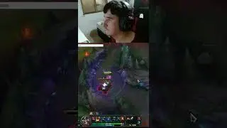 palha&ccedil;o sem diqui&ccedil;&atilde;o
