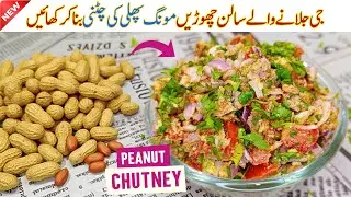 Moongphali Ki Chatni | Peanut Chutney Recipe | Moogphali Chutney Recipe | Mungfali ki Chatni