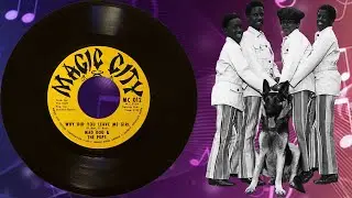 Why Did You Leave Me Girl-Mad Dog & The Pups-1971