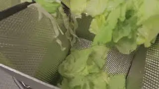 Ilapak Vegatronic 6000 Ultrasonic Sealing Fresh Cut Salad Pillow